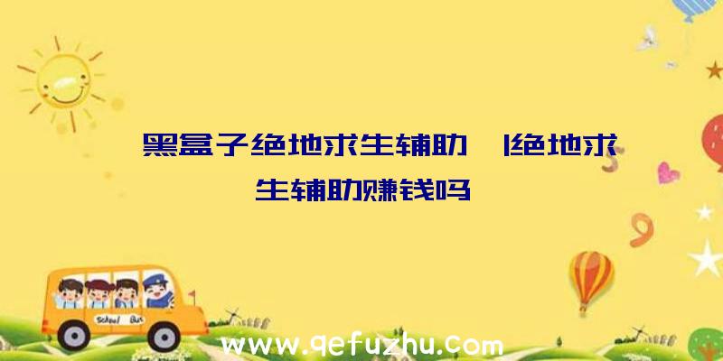 「黑盒子绝地求生辅助」|绝地求生辅助赚钱吗